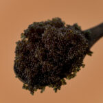 Black Tobiko  (Squid ink flying fish roe)