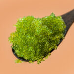 Green Wasabi Tobiko  (Flying fish roe)